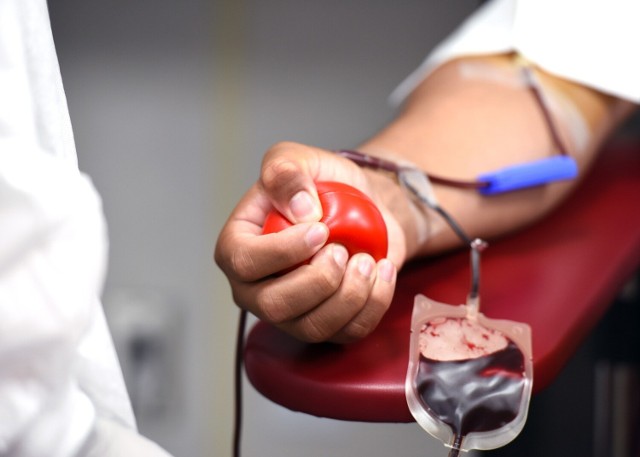 W piątkowej (01.07.2022) akcji oddawania krwi w Żninie wzięły udział 52 osoby. Oddały w sumie 23,4 litrów krwi.