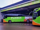 Zielone stanowiska i zespół operacyjny FlixBusa na dworcu MDA w Krakowie