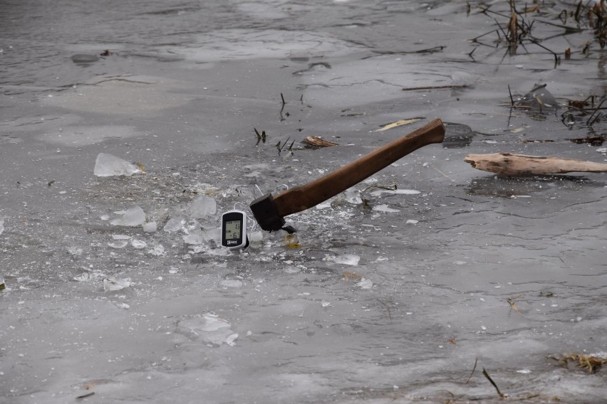 Gniezno: morsowanie na plaży miejskiej [07.02.2021]