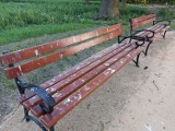 Park Belzacki w Piotrkowie pięknieje, ale ptaki już brudzą nowe ławki. Uszkodzone są też elementy mostku (kładki)