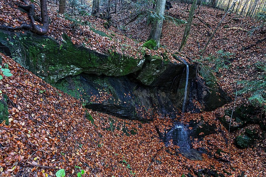 Wodospad na potoku Wołosiec w Dragaszowie to jedna z niewątpliwych atrakcji Beskidu. Warto wykorzystać piękną jesień, by do niego dotrzeć