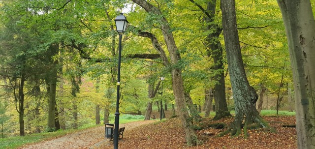 Park Zamkowy im. Mariana Strońskiego w Przemyślu na zdjęciach Dariusza Laska, wiceprzewodniczącego Rady Miejskiej w Przemyślu.