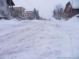 Dajtki zakopane pod śniegiem