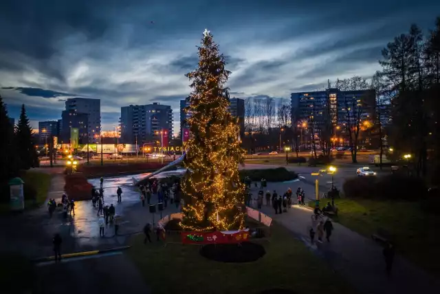 Park Śląski w świątecznej odsłonie. Warto wybrać się tu na spacer