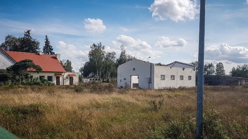 Dawna farma byków w Lesznie, dziś opuszczony teren w...