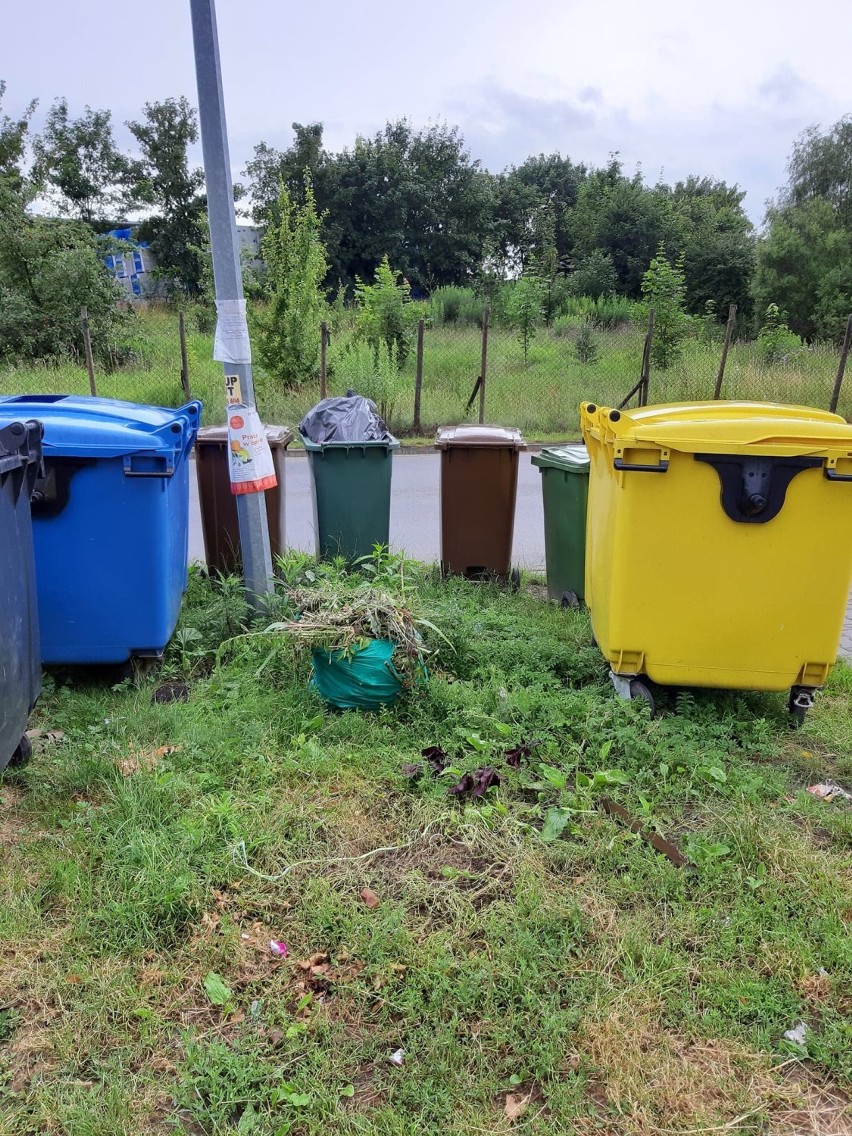 Radni przyjęli nowy regulamin czystości  w gminie Kolbudy. Od teraz spółdzielnie będą musiały obudować śmietniki wiatami