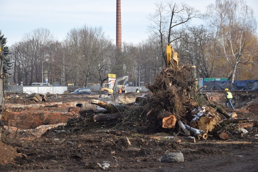 Archeolodzy odkryli kości na budowie Dekady w Nysie. Co z budową galerii handlowej?