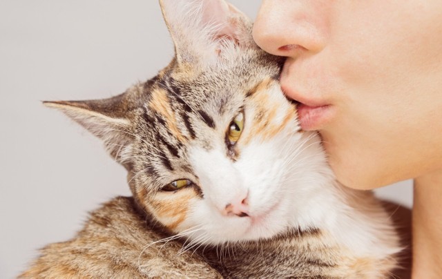 Bliski kontakt z kotem nie jest wskazany w przypadku kobiet w ciąży, gdyż infekcja przenoszonym przez niego pasożytem zagraża płodowi.