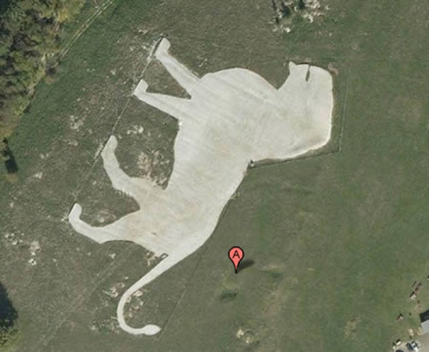 Najciekawsze znaleziska na Google Earth

1. Lew



Ten...