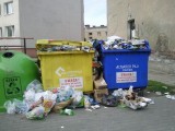 Pilska Spółdzielnia Mieszkaniowa dostawi pojemniki na śmieci