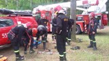 Strażacy z Piły ściągali człowieka z drzewa