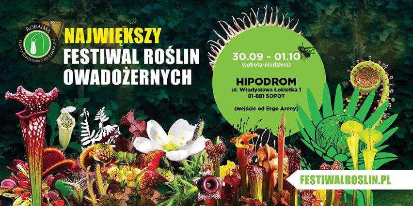 Festiwal Roślin Owadożernych w Sopocie. Smakosze much, os i pająków [ZDJĘCIA, WIDEO]
