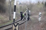 Śmiertelny wypadek kolejowy przed stacją Szczecin Zdunowo. 63-letnia kobieta zginęła na miejscu 