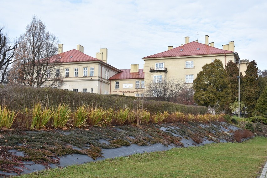 Tak prezentuje się Park Sanguszków późną jesienią