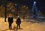 Pszów: rynek pięknie oświetlony nocą. W mieście świątecznych ozdób jest mniej, ale cieszą oko. Zobaczcie, jak wygląda centrum ZDJĘCIA