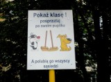 Posprzątaj Po Swoim Pupilu..!!!