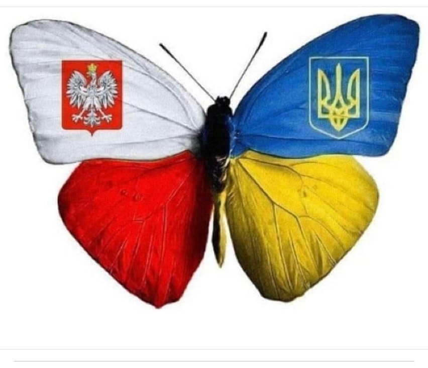 Już na drugi dzień po wybuchu wojny założyły grupę pomocową. "Pilanie Ukrainie" - tu się dzieją cuda