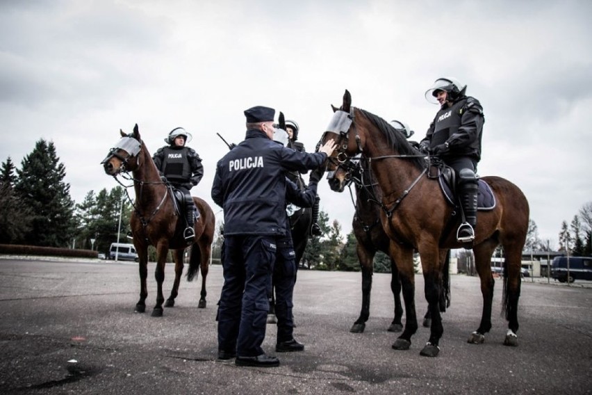 Wspólnie ćwiczenia policyjnych koni ze Smardzewic i prewencji w Łodzi [ZDJĘCIA]
