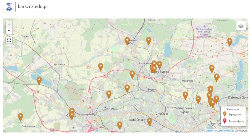 Barszcz Sosnowskiego w woj. śląskim. Ponad 120 lokalizacji! Tam uważajcie! [LISTA MIEJSC]