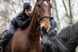 Poturbowana przez konia policjantka z Poznania wróciła do czynnej służby. "Dziękuję za wszystkie miłe i ciepłe słowa"