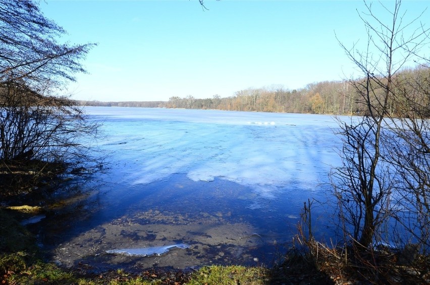 Jezioro Rusałka to bez wątpienia dobre miejsce na spacer....