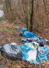 Jastrzębie-Zdrój: Wysypisko śmieci na ulicy Węglowej