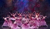 Moscow City Ballet wkrótce w Bydgoszczy