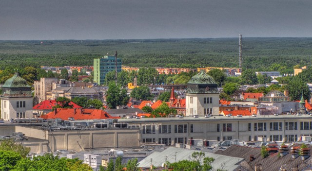 Fot. Bogusław_ZG (MM Zielona Góra)