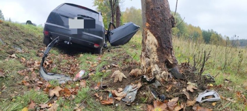 Auto uderzyło w drzewo. Wypadek koło Jelenia na krajowej "dwudziestce" [zdjęcia]