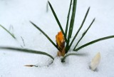 Lubelskie. Uwaga na roztopy. Ostrzeżenie Instytutu Meteorologii i Gospodarki Wodnej