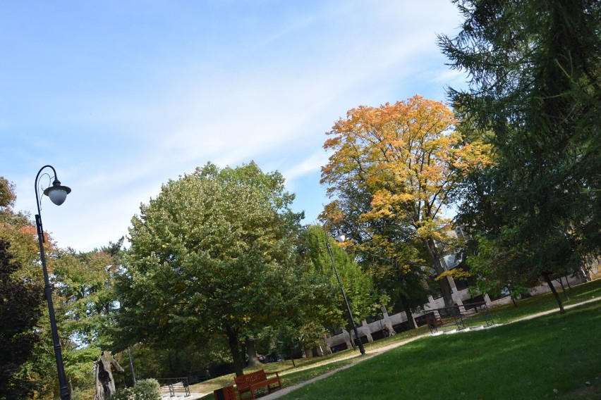 Polska złota jesień w parku w Zduńskiej Woli