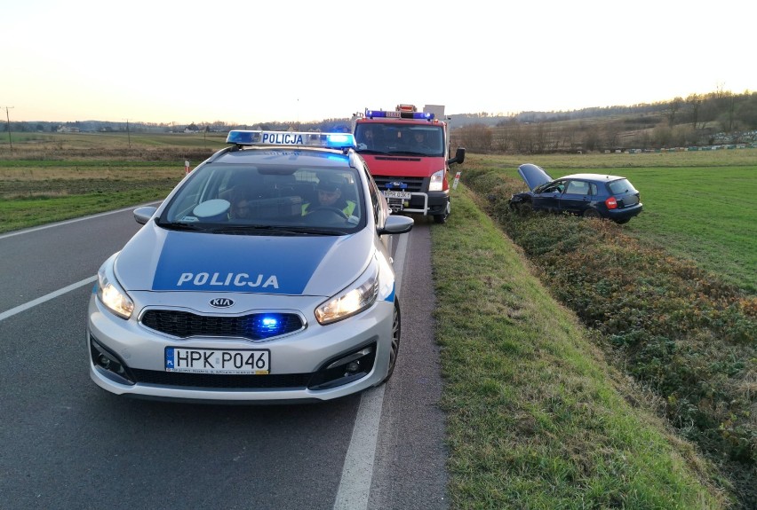 Wypadek w Korytnikach w powiecie przemyskim. 18-letnia kierująca kią wypadła z drogi [ZDJĘCIA]