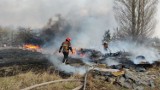 Pożar w Czarnobylu a skutki dla Podkarpacia. Jest aktualny komunikat w tej sprawie