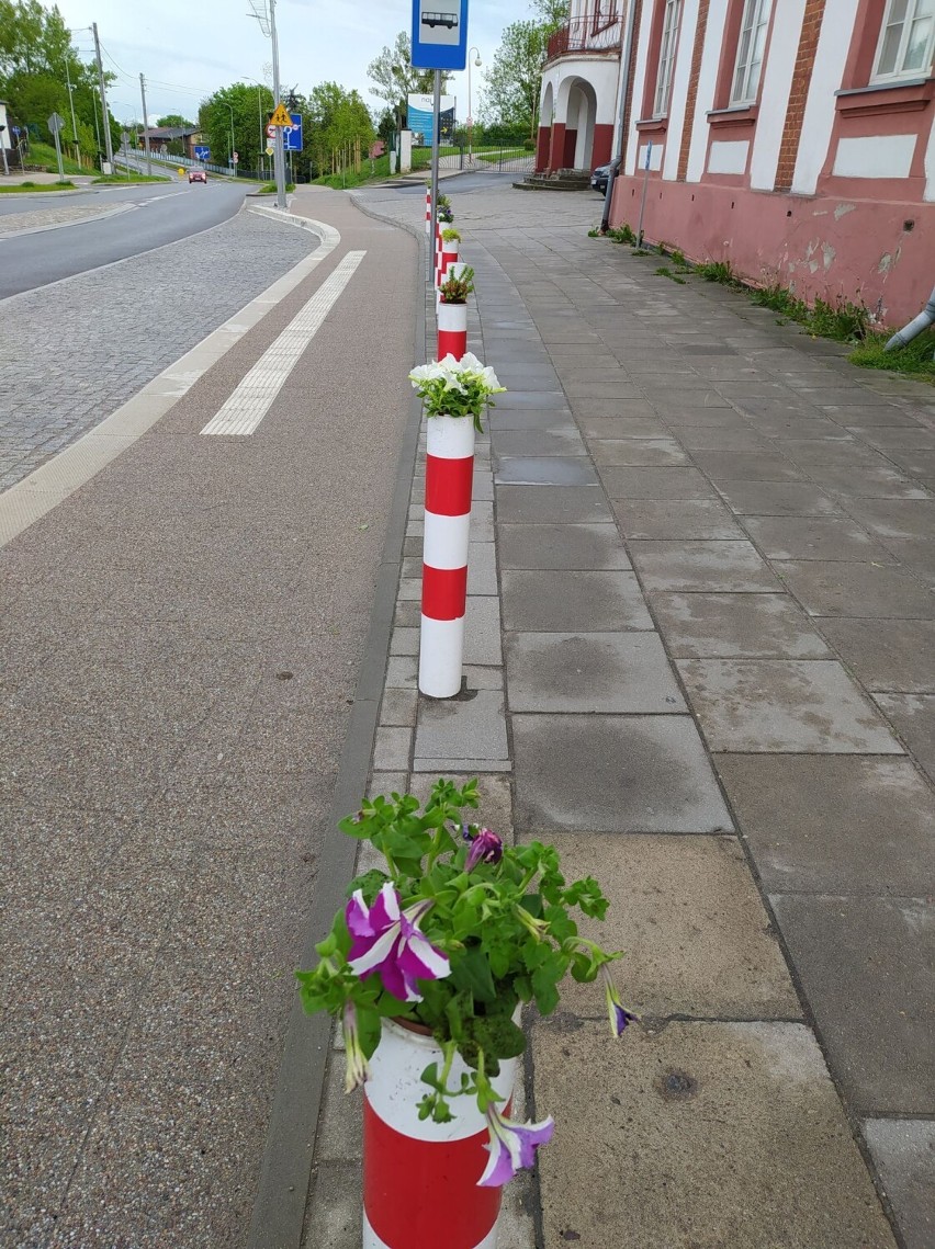 Tczew. Słupki na Gdańskiej straciły "głowy" i zamieniły się w śmietniki - na ratunek kwiaty