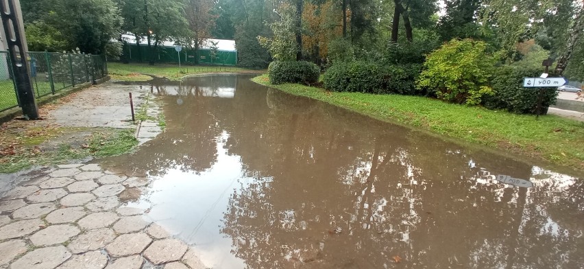 Malbork. Ulewa z bardzo silnym wiatrem przeszła przez część miasta. Mecz Pomezanii przerwany, zalane ulice i piwnice oraz powalone drzewa