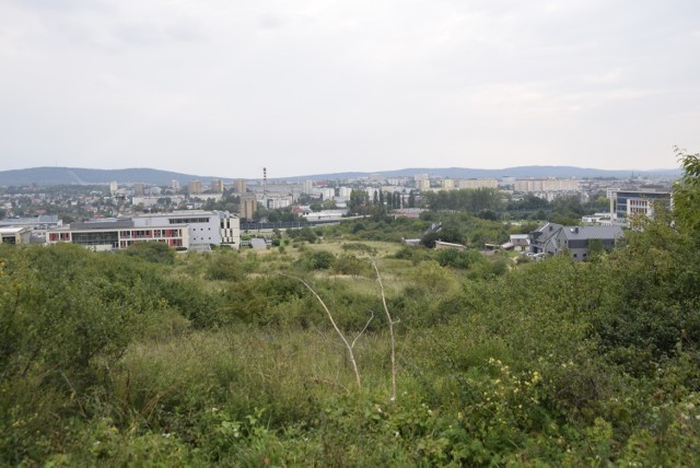 Kielce są ładnie położone. Na ich terenie jest wiele wzniesień, z których widać panoramę miasta. Który punkt widokowy jest najlepszy?

Letnia pora sprzyja spacerom. W stolicy województwa świętokrzyskiego nie brakuje miejsc, gdzie w ładną pogodę można się wybrać na łono natury. To choćby wzniesienia, z których wspaniale widać panoramę Kielc.

Oczywiście zawsze można użyć drona i nim zrobić zdjęcia różnych obiektów, by zobaczyć, jak prezentują się z lotu ptaka. Jednak nie jest to tak przyjemne, jak osobiście napawać się pięknym widokiem. Dlatego przedstawiamy punkty widokowe w mieście i zachęcamy do ich odwiedzenia.

ZOBACZ TEŻ: Magiczne Zakończenie Lata z RMF FM
