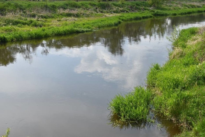 SKO w Kaliszu podtrzymało decyzję wójta, który nie wyraził zgody na budowę elektrowni wodnej na rzece Prośnie