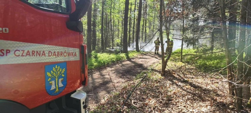 W ostatnich dniach doszło do dwóch pożarów lasów.
