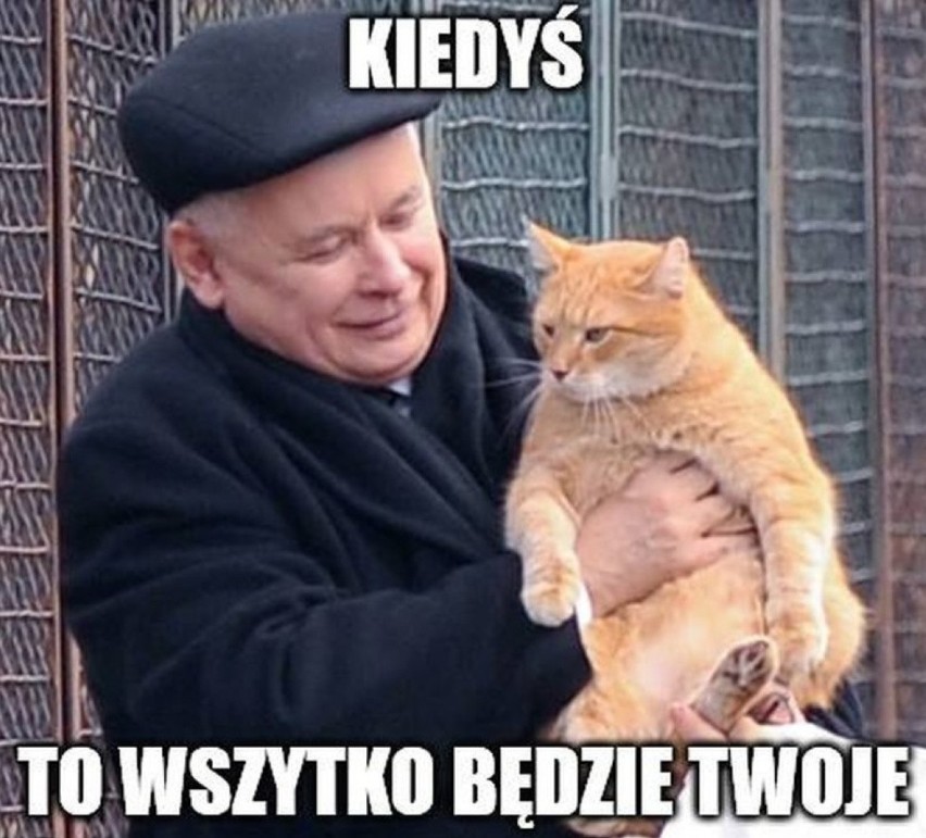 Taśmy Kaczyńskiego oczami internautów MEMY: Spokojnie, zaraz...