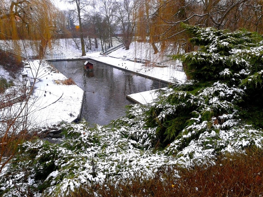 2015 Toruń.  "Dolina Marzeń" w zimowej scenerii