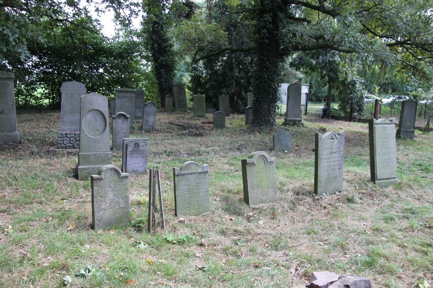 Jeden z największych cmentarzy żydowskich w Wielkopolsce wygląda, jakby czas się tutaj zatrzymał 
