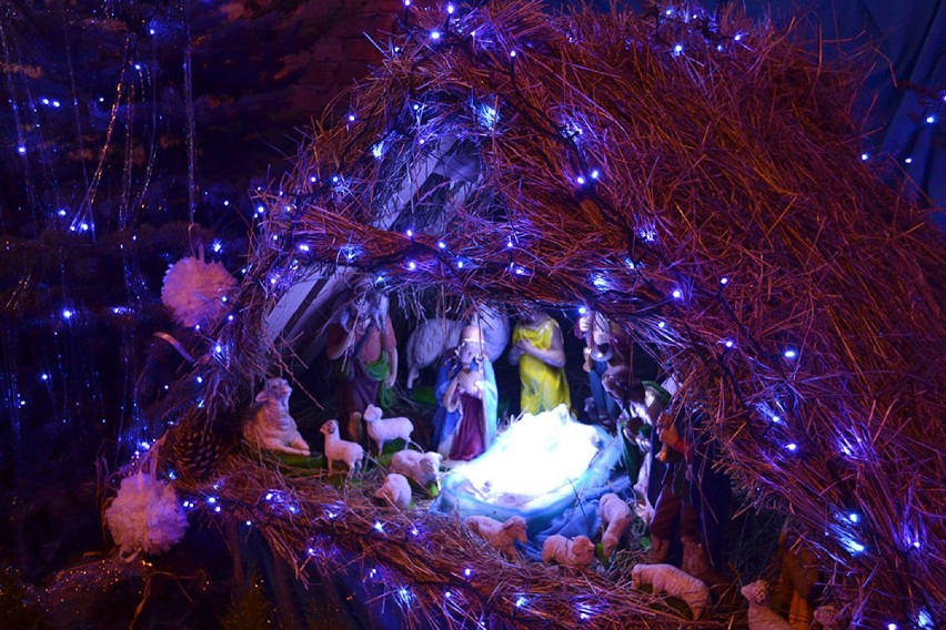 Szopki Bożonarodzeniowe w Tczewie: zobacz piękne ozdoby tczewskich kościołów [GALERIA ZDJĘĆ]