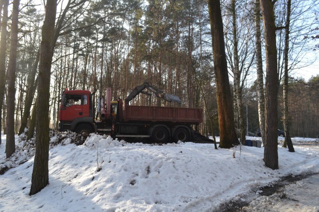 Przygotowania do utworzenia małpiego gaju w Parku Kuronia w Kazimierzu Górniczym. Sprzęt przerzucał i kopał ziemię.

Zobacz kolejne zdjęcia. Przesuń zdjęcia w prawo - wciśnij strzałkę lub przycisk NASTĘPNE