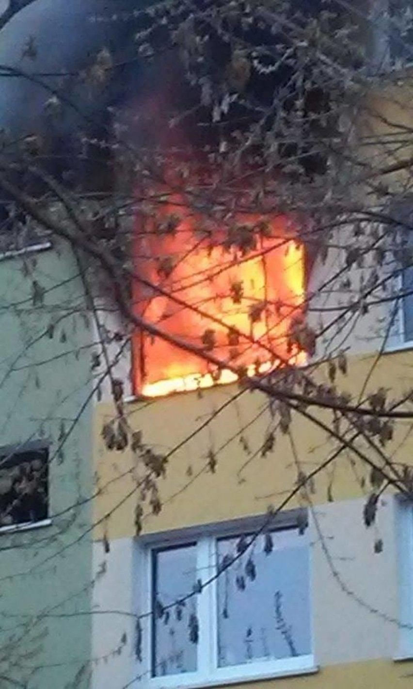  Pożar mieszkania w Koninie [ZDJĘCIA]