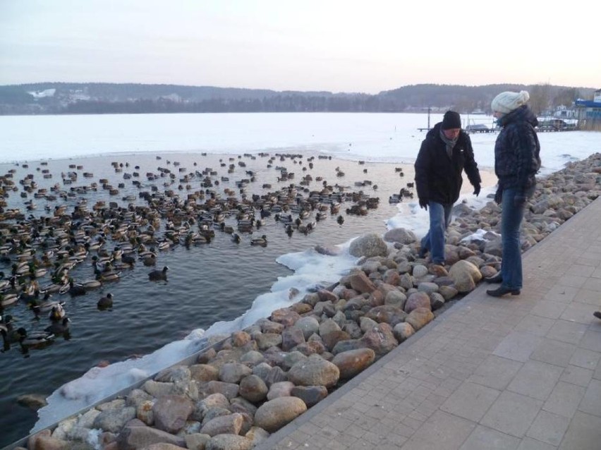 Bardzo mroźnie było w lutym 2012 roku. Jeziora Karczewnik i...
