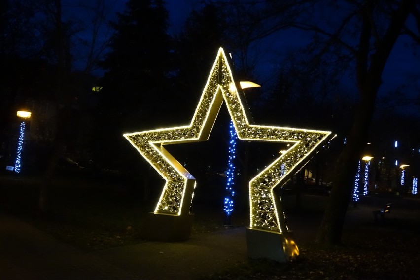 Gostyń. Park miejski w Gostyniu to świetne miejsce na styczniowy spacer. Sprawdziliśmy [ZDJĘCIA]