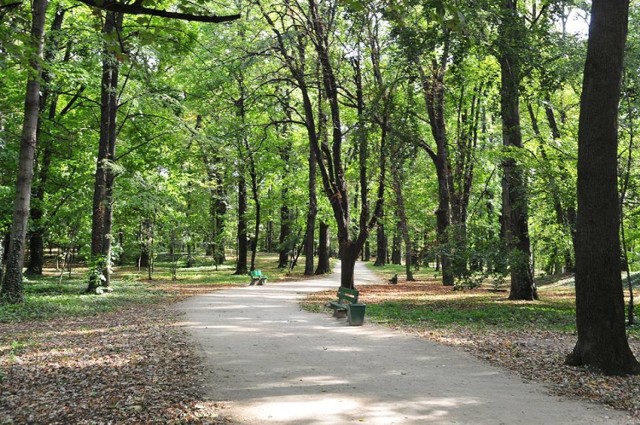 Park Młodzieżowy w Świdnicy będzie rewitalizowany