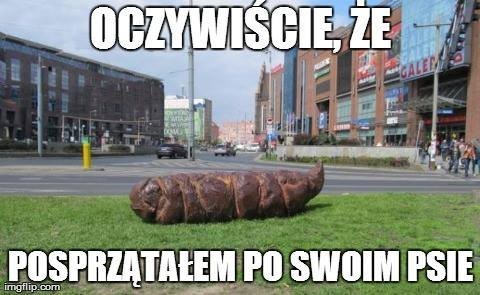 memy o Wrocławiu