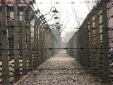 Polkowice: Z VW do Auschwitz