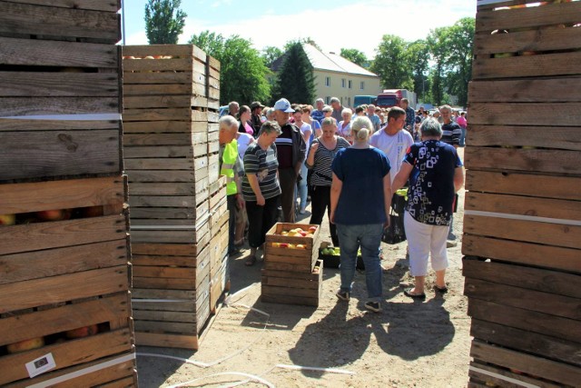 OPS Międzychód zorganizował w piątek 10 czerwca 2016 roku akcję rozdawania mieszkańcom darmowych jabłek.